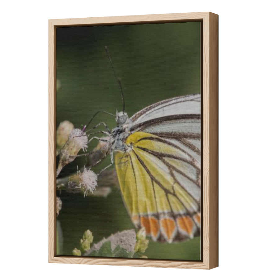 Thumbnail for Canvas - Wood Grain Floating Frame