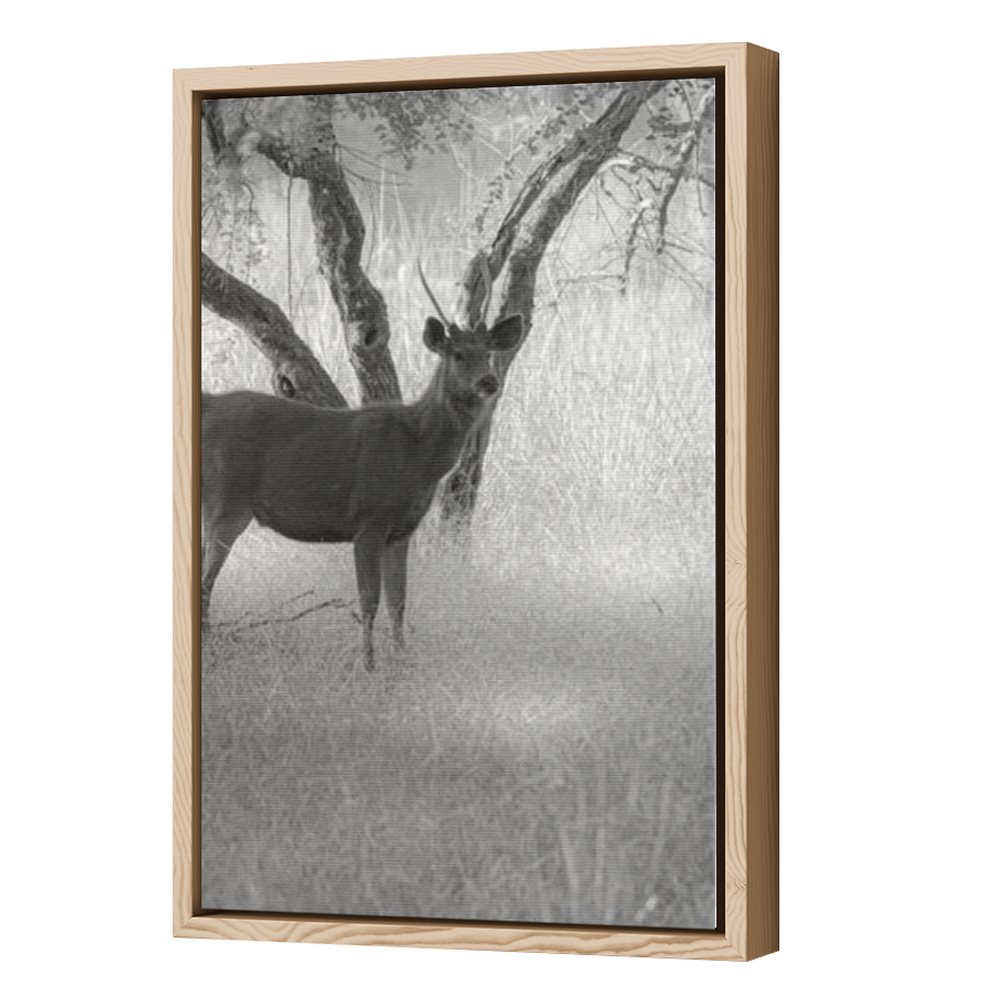 Thumbnail for Canvas - Wood Grain Floating Frame