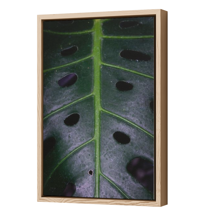 Thumbnail for Canvas - Wood Grain Floating Frame