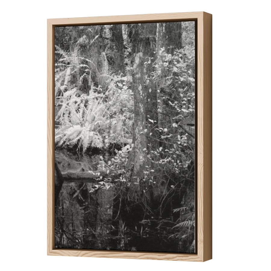 Thumbnail for Canvas - Wood Grain Floating Frame