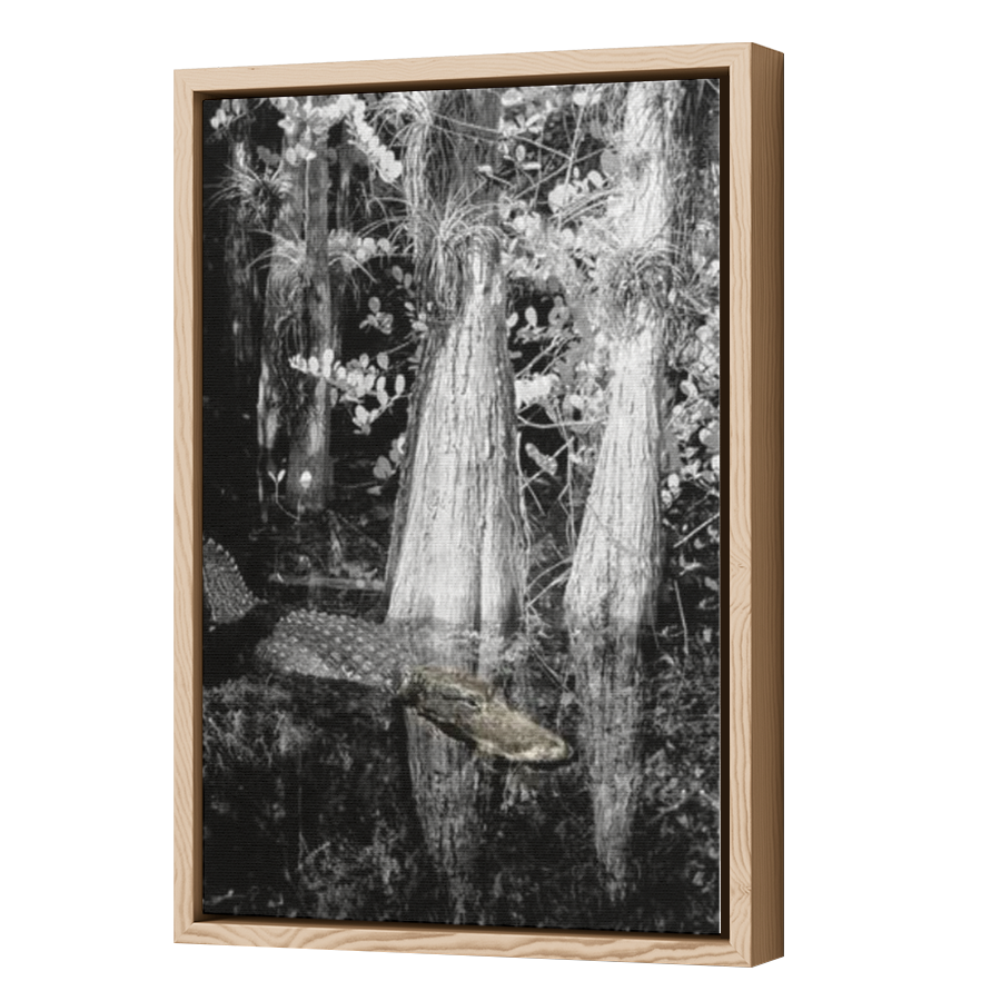 Thumbnail for Canvas - Wood Grain Floating Frame