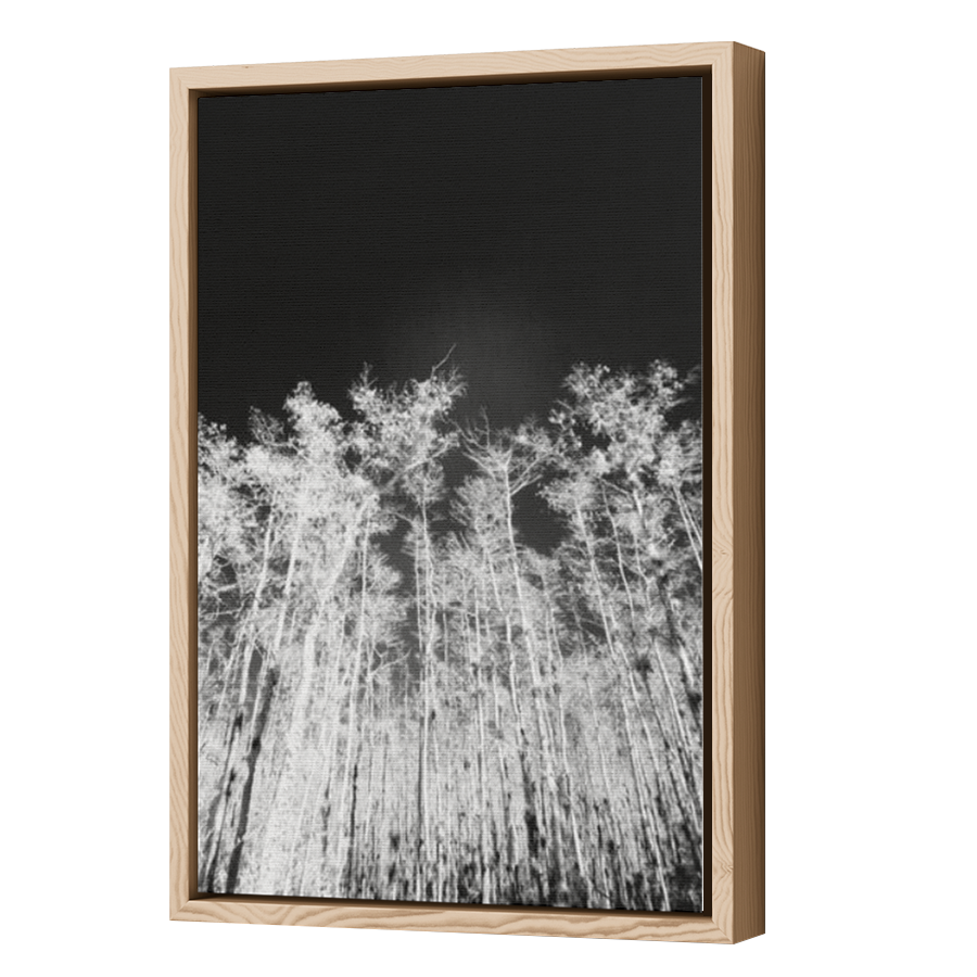 Thumbnail for Canvas - Wood Grain Floating Frame