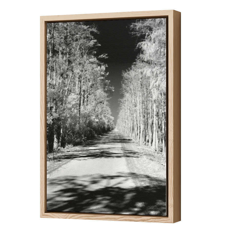 Thumbnail for Canvas - Wood Grain Floating Frame