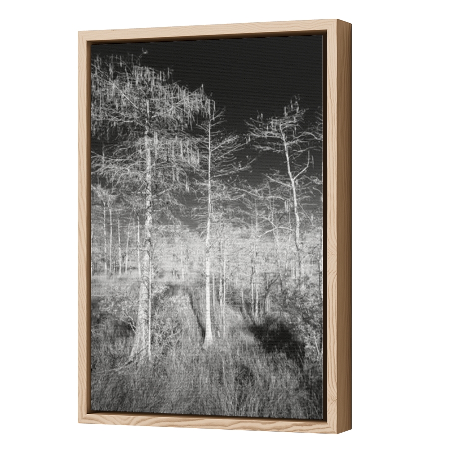 Thumbnail for Canvas - Wood Grain Floating Frame