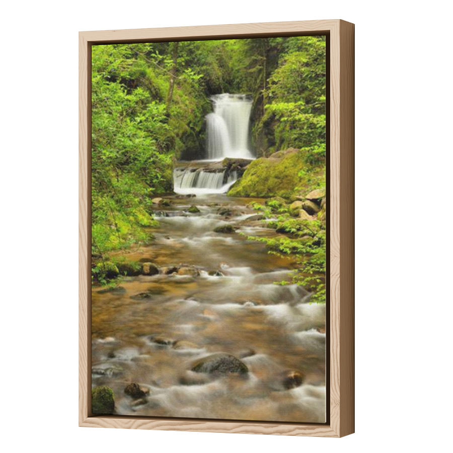 Thumbnail for Canvas - Wood Grain Floating Frame