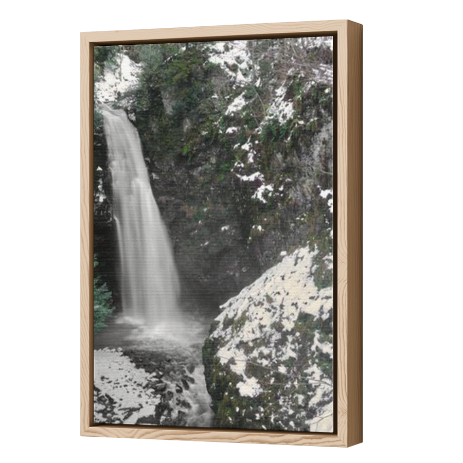 Thumbnail for Canvas - Wood Grain Floating Frame