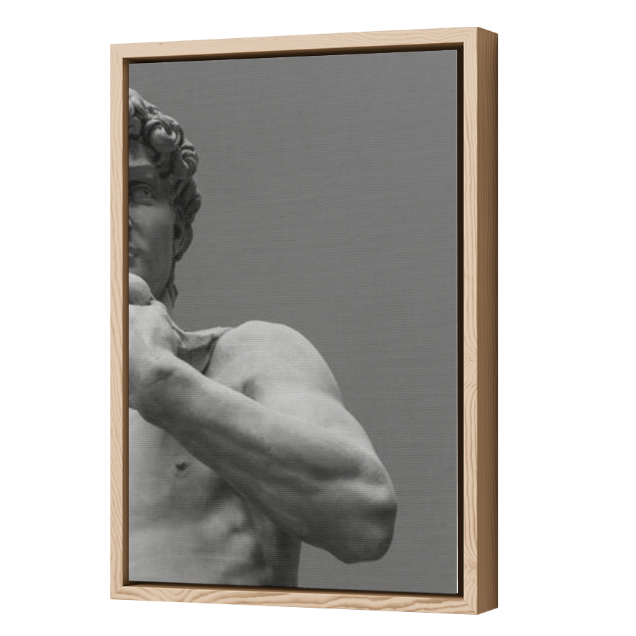 Thumbnail for Canvas - Wood Grain Floating Frame
