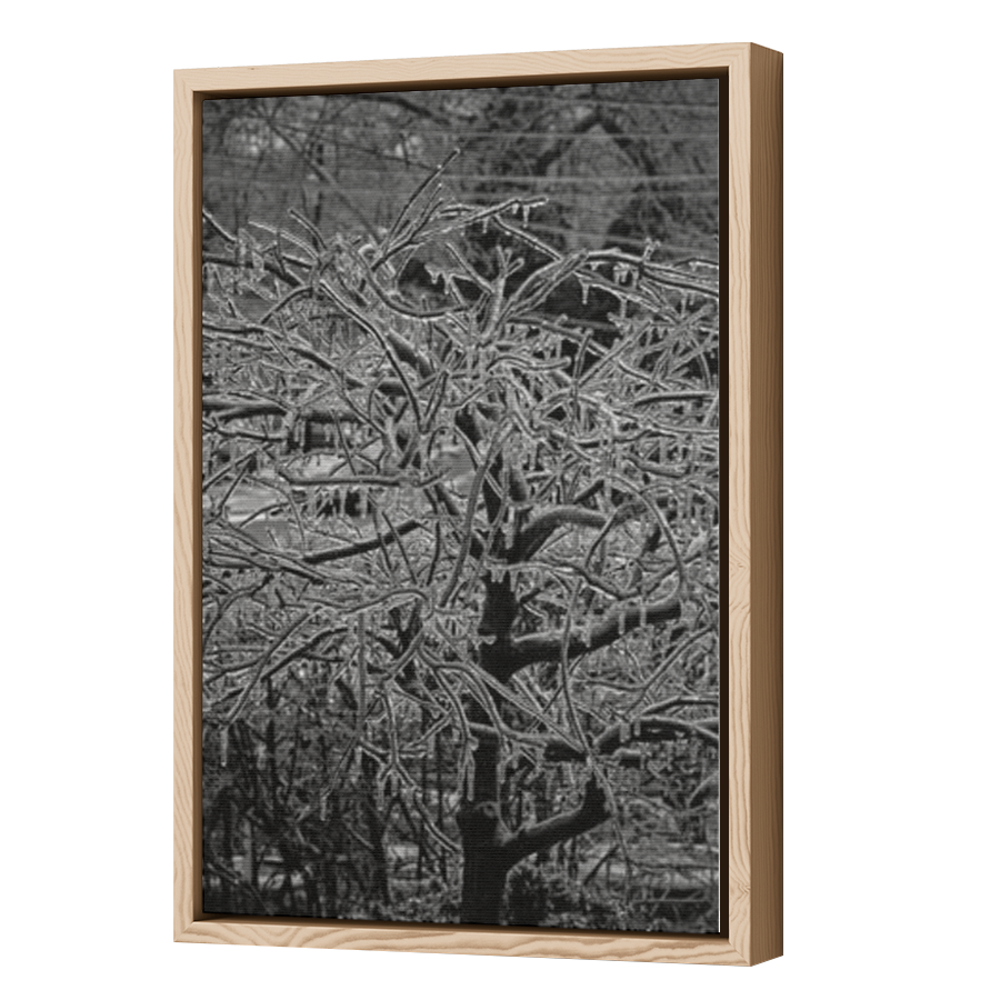 Thumbnail for Canvas - Wood Grain Floating Frame