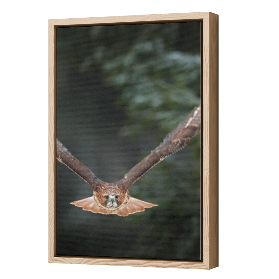 Thumbnail for Canvas - Wood Grain Floating Frame