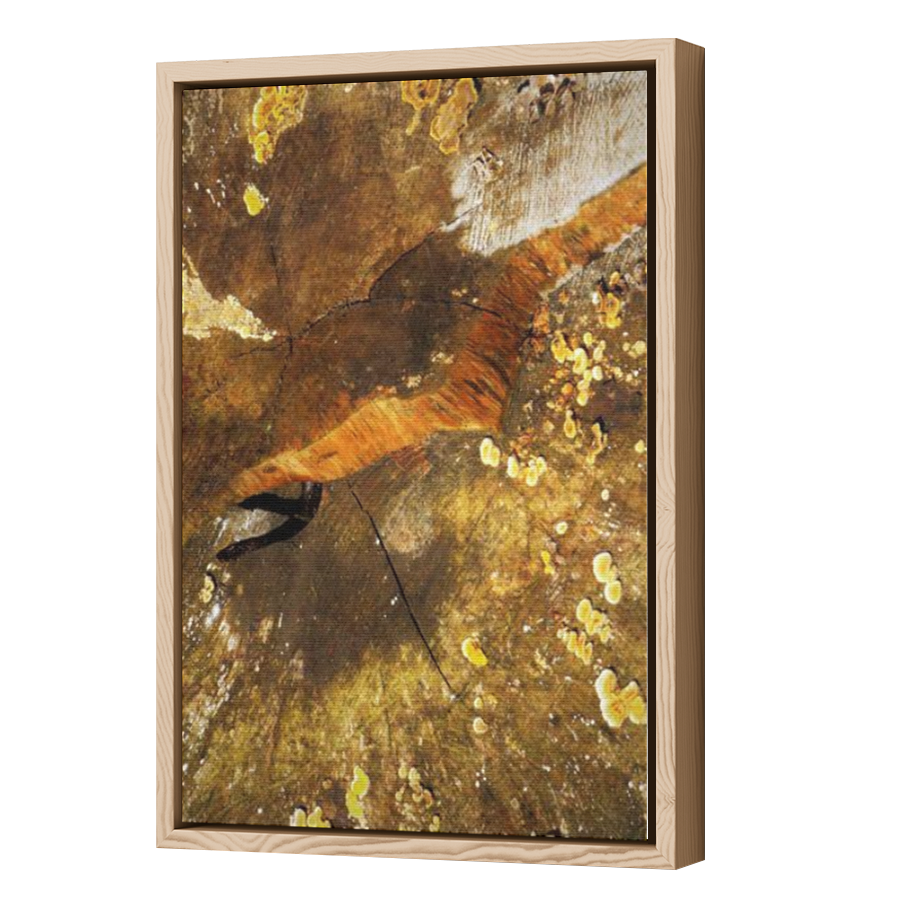 Thumbnail for Canvas - Wood Grain Floating Frame