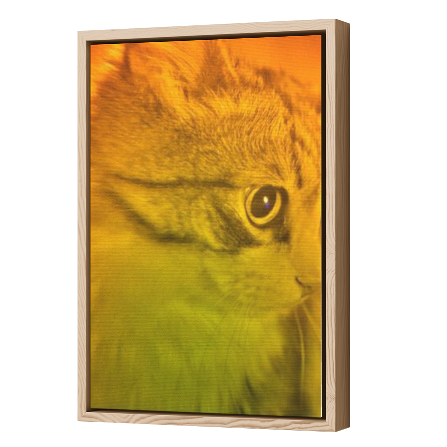 Thumbnail for Canvas - Wood Grain Floating Frame