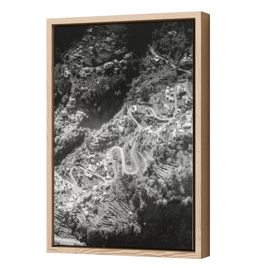 Thumbnail for Canvas - Wood Grain Floating Frame