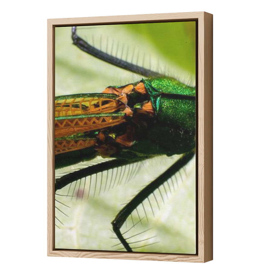 Thumbnail for Canvas - Wood Grain Floating Frame