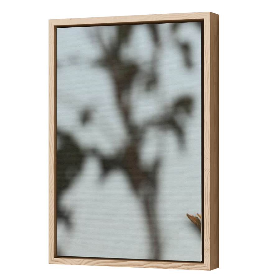 Thumbnail for Canvas - Wood Grain Floating Frame