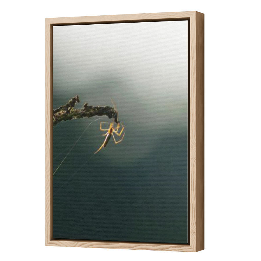 Thumbnail for Canvas - Wood Grain Floating Frame