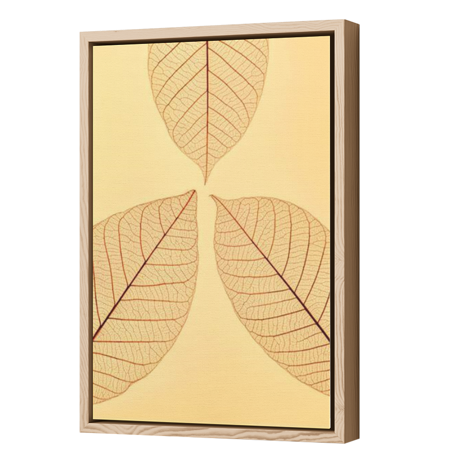 Thumbnail for Canvas - Wood Grain Floating Frame