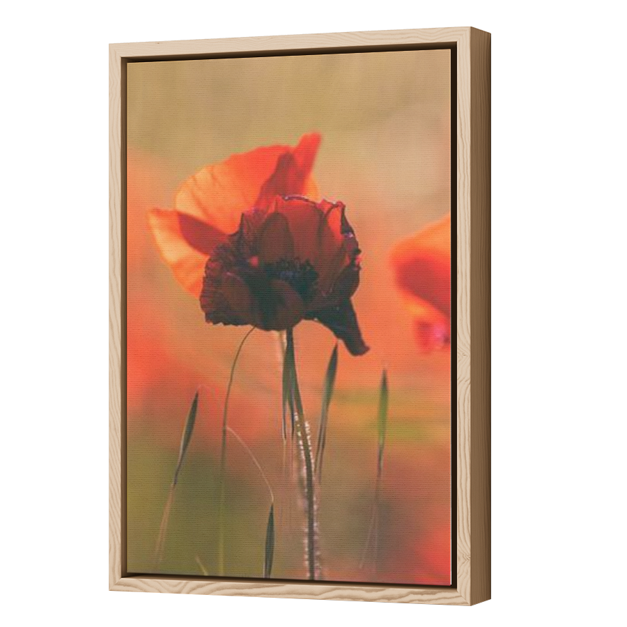 Thumbnail for Canvas - Wood Grain Floating Frame