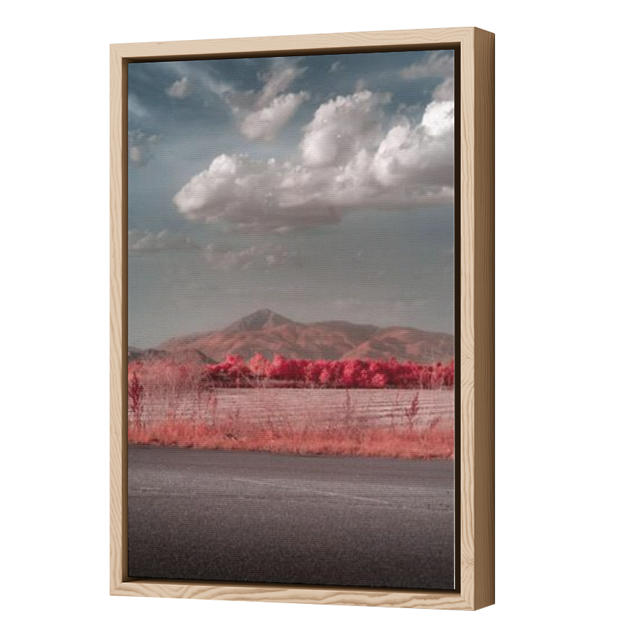 Thumbnail for Canvas - Wood Grain Floating Frame
