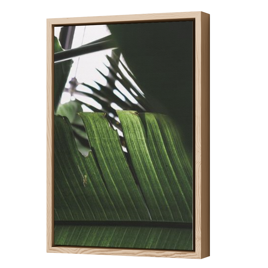 Thumbnail for Canvas - Wood Grain Floating Frame