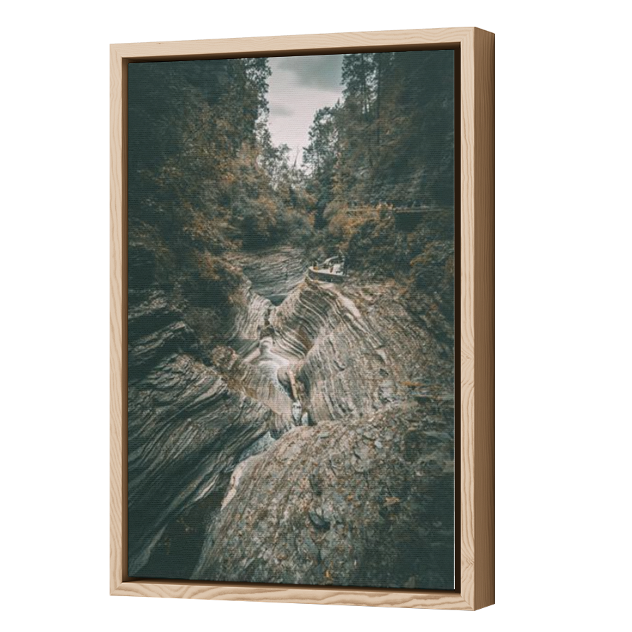 Thumbnail for Canvas - Wood Grain Floating Frame