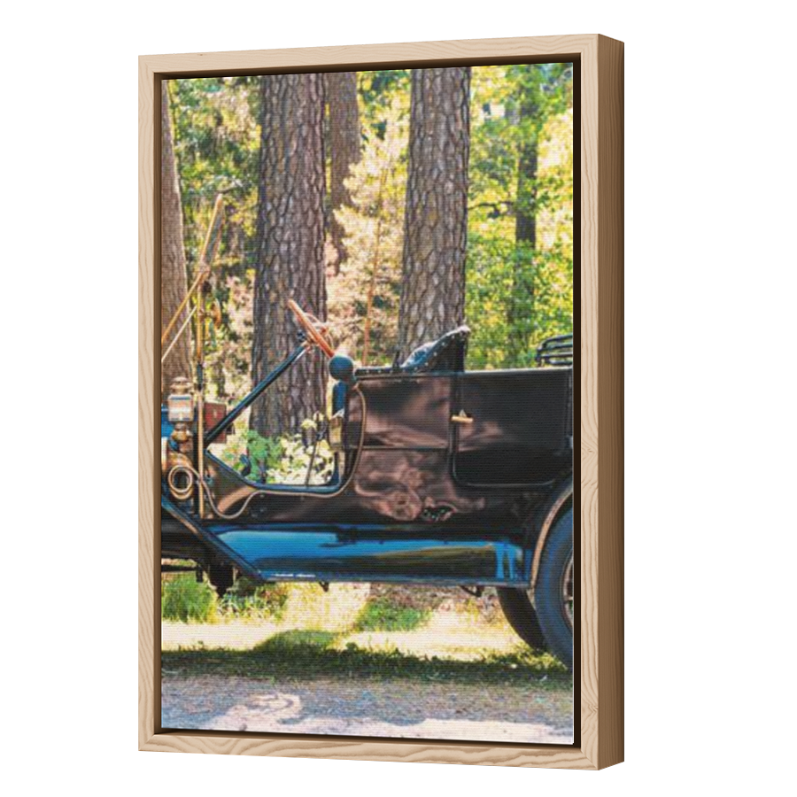 Thumbnail for Canvas - Wood Grain Floating Frame
