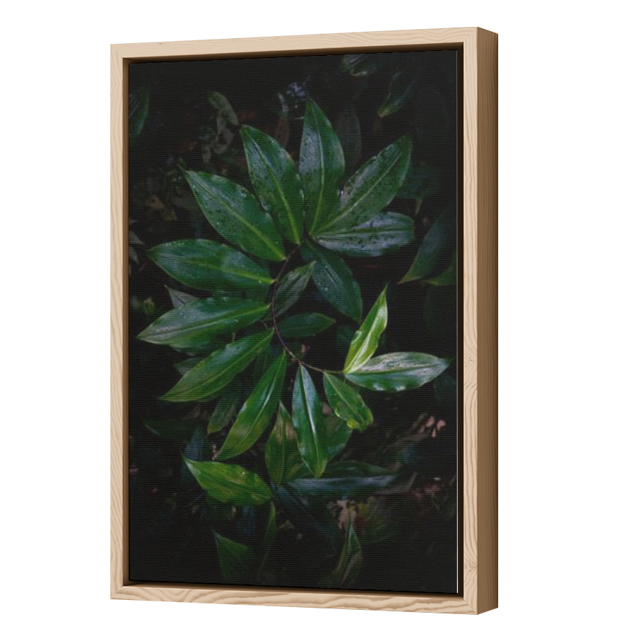 Thumbnail for Canvas - Wood Grain Floating Frame