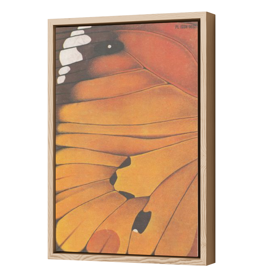 Thumbnail for Canvas - Wood Grain Floating Frame