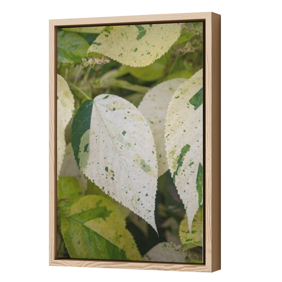 Thumbnail for Canvas - Wood Grain Floating Frame