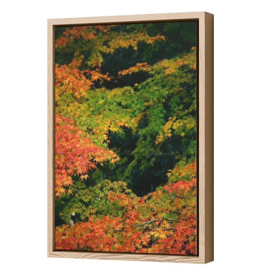 Thumbnail for Canvas - Wood Grain Floating Frame