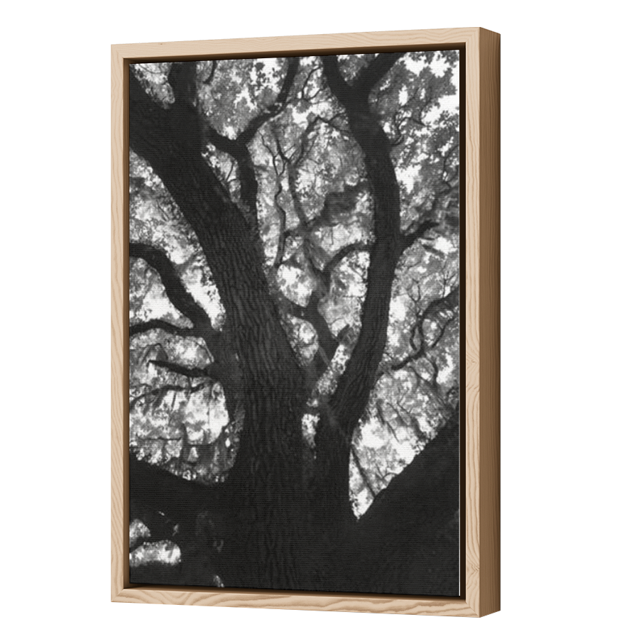 Thumbnail for Canvas - Wood Grain Floating Frame