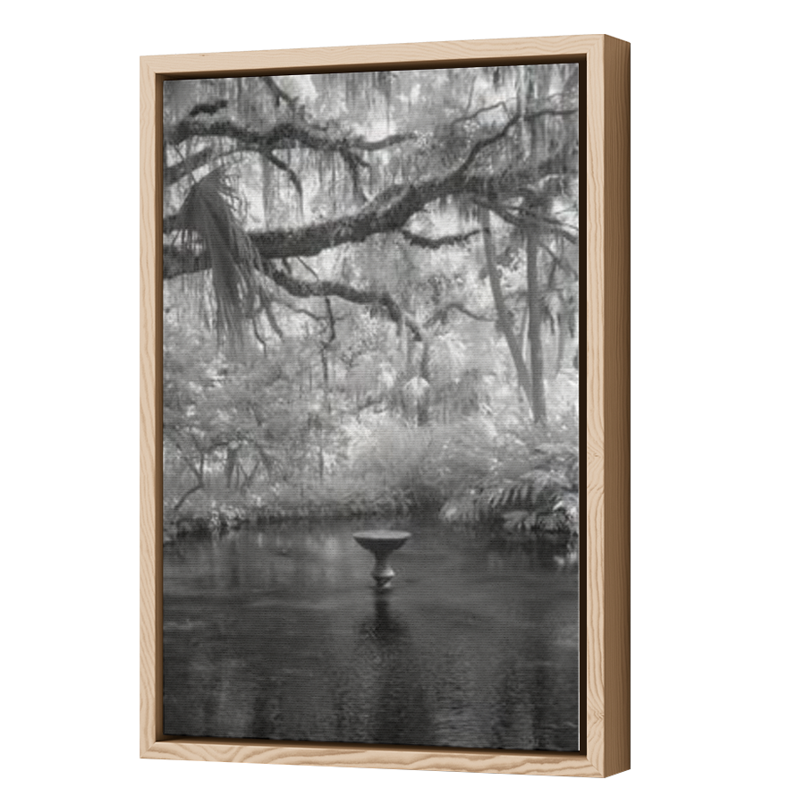 Thumbnail for Canvas - Wood Grain Floating Frame