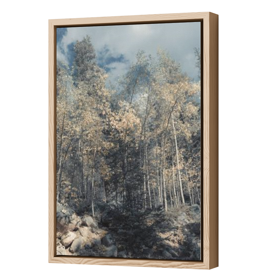 Thumbnail for Canvas - Wood Grain Floating Frame