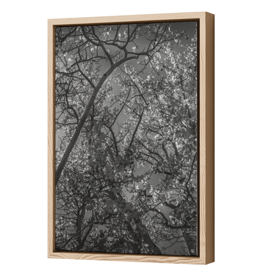 Thumbnail for Canvas - Wood Grain Floating Frame