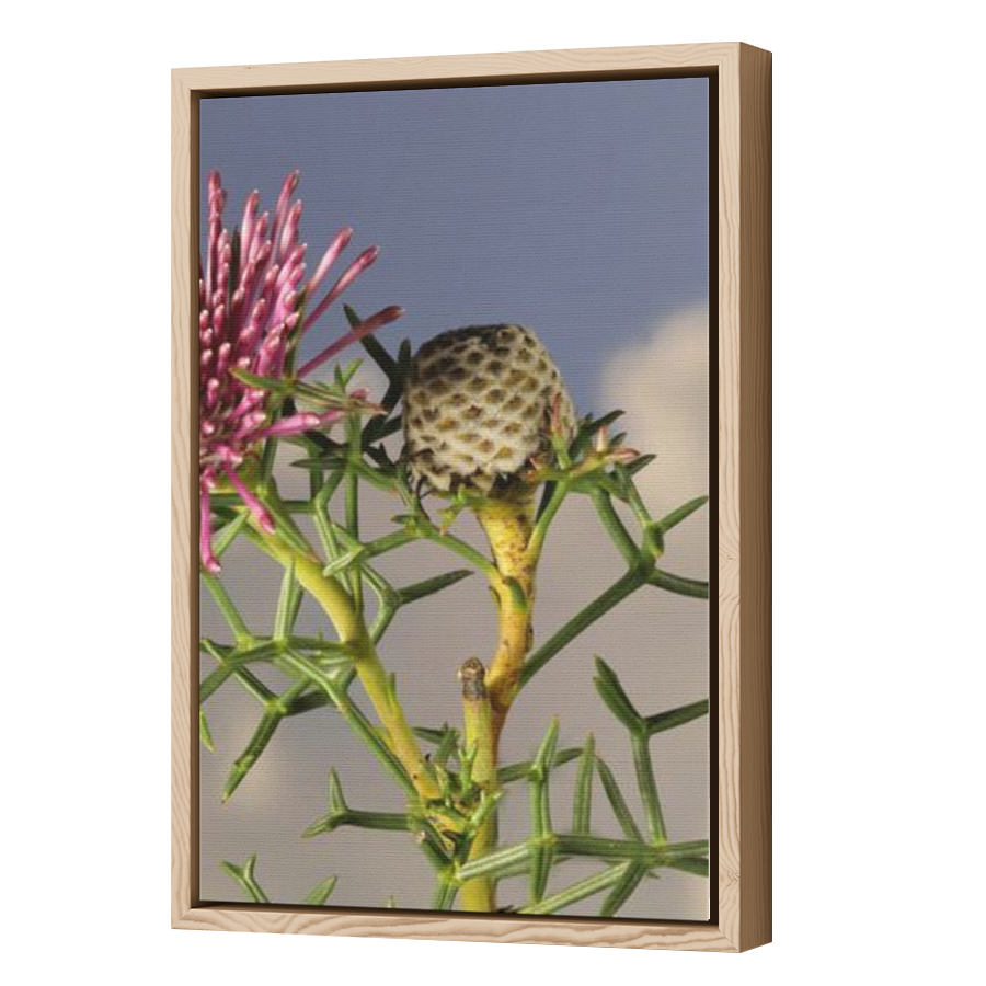 Thumbnail for Canvas - Wood Grain Floating Frame