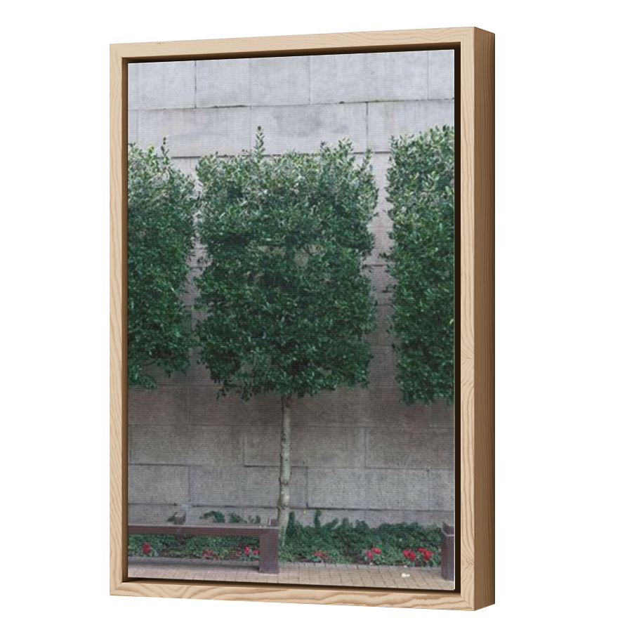 Thumbnail for Canvas - Wood Grain Floating Frame