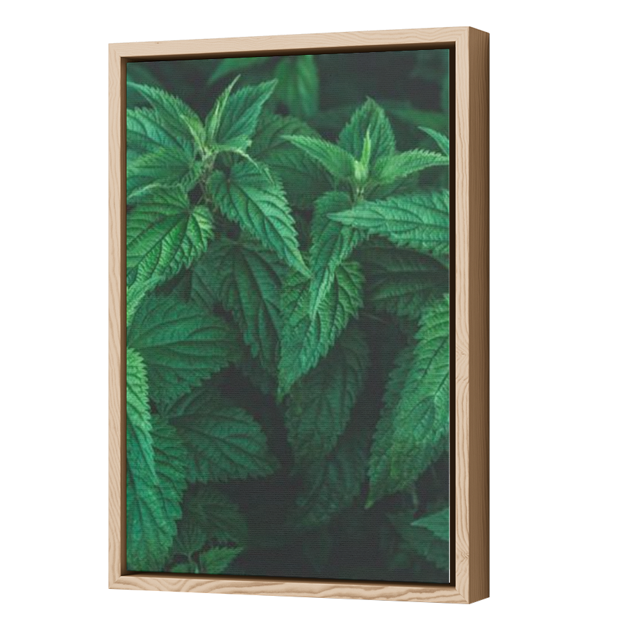 Thumbnail for Canvas - Wood Grain Floating Frame