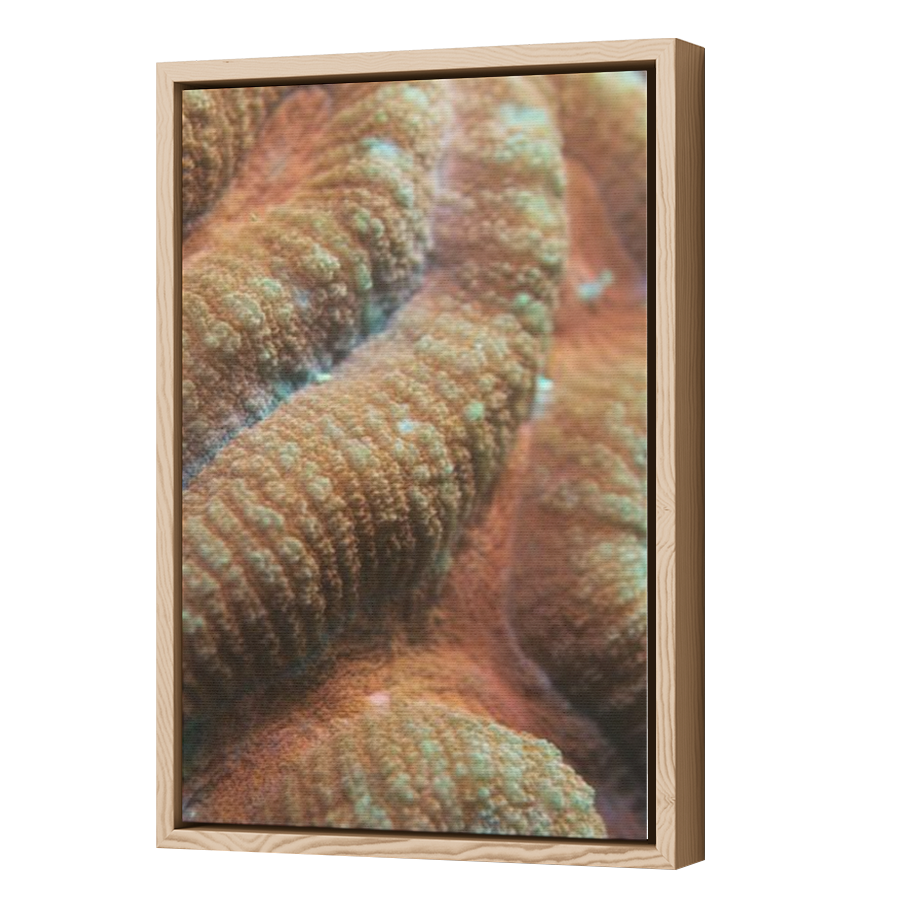 Thumbnail for Canvas - Wood Grain Floating Frame