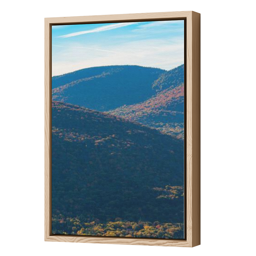 Thumbnail for Canvas - Wood Grain Floating Frame