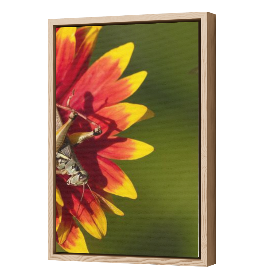 Thumbnail for Canvas - Wood Grain Floating Frame