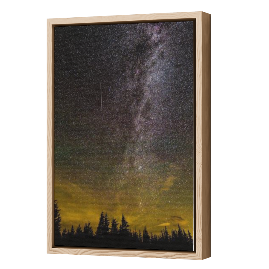 Thumbnail for Canvas - Wood Grain Floating Frame
