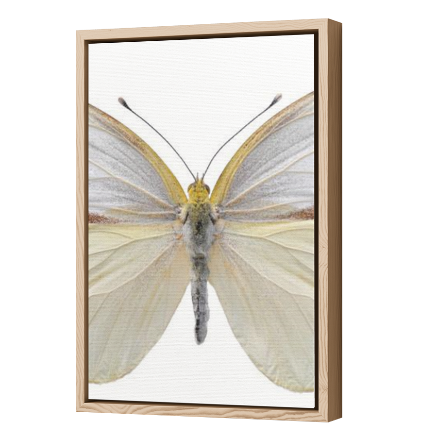 Thumbnail for Canvas - Wood Grain Floating Frame