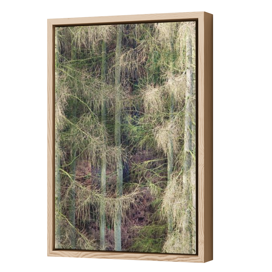Thumbnail for Canvas - Wood Grain Floating Frame