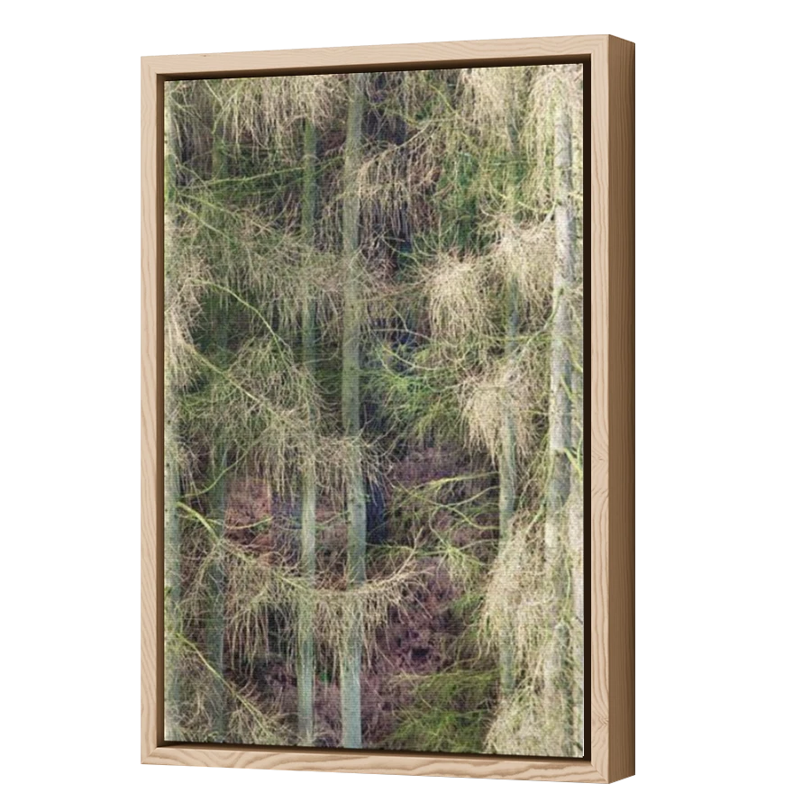 Thumbnail for Canvas - Wood Grain Floating Frame