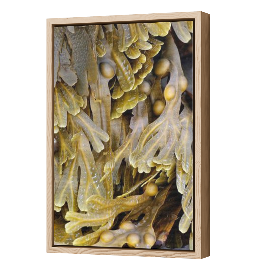 Thumbnail for Canvas - Wood Grain Floating Frame