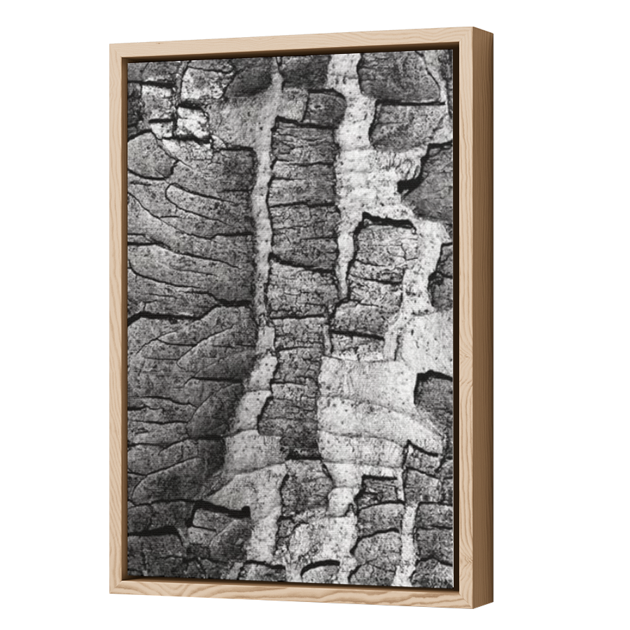Thumbnail for Canvas - Wood Grain Floating Frame