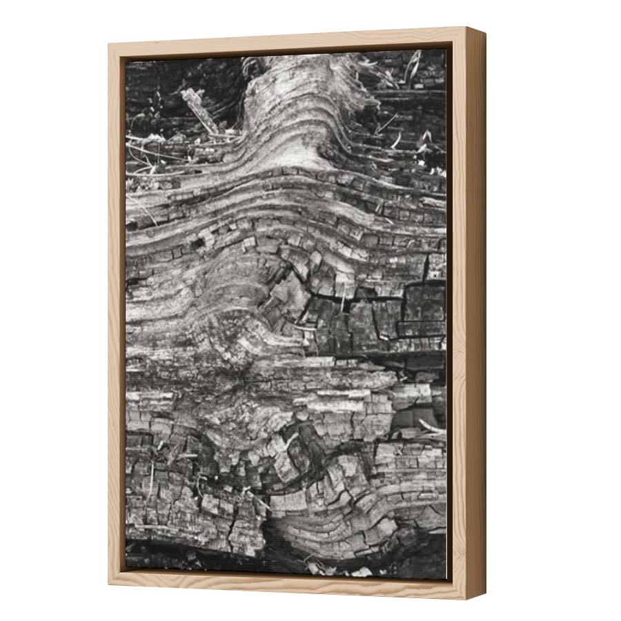 Thumbnail for Canvas - Wood Grain Floating Frame