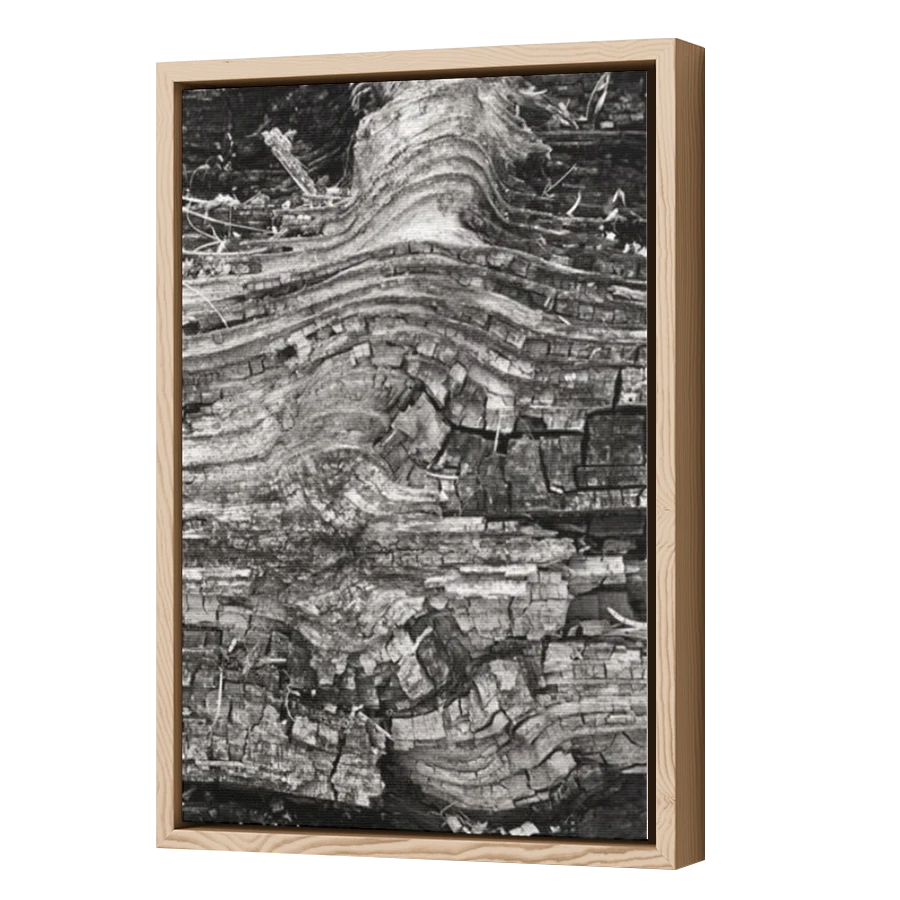 Thumbnail for Canvas - Wood Grain Floating Frame