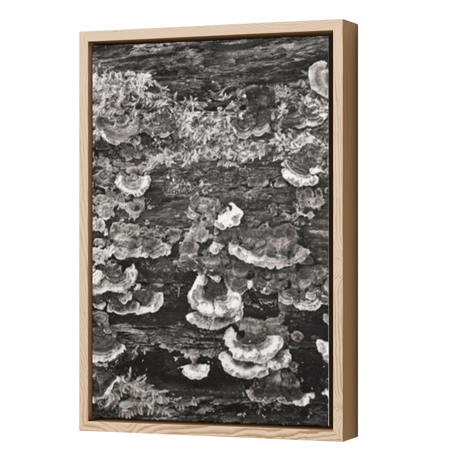 Thumbnail for Canvas - Wood Grain Floating Frame