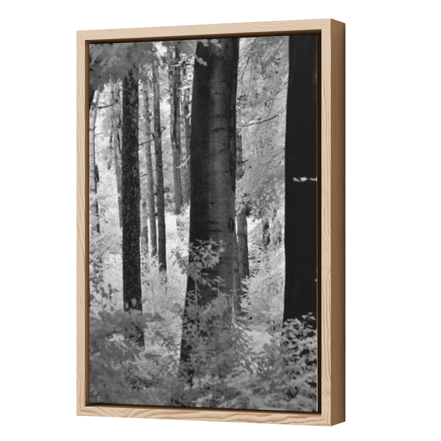 Thumbnail for Canvas - Wood Grain Floating Frame