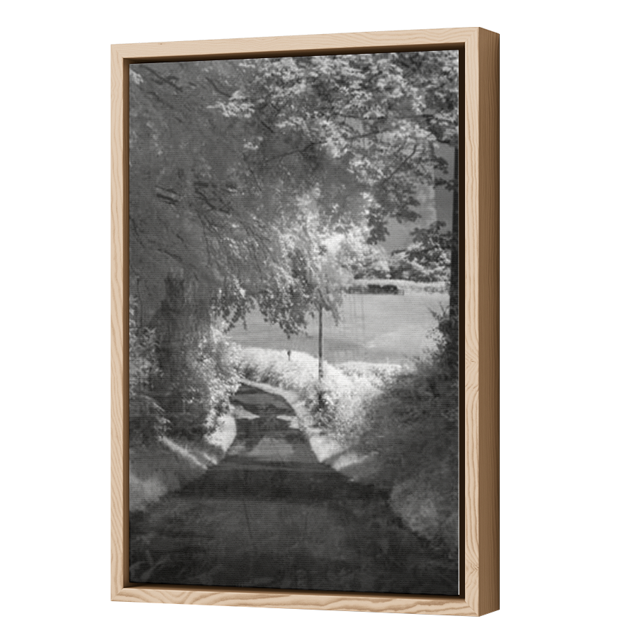 Thumbnail for Canvas - Wood Grain Floating Frame